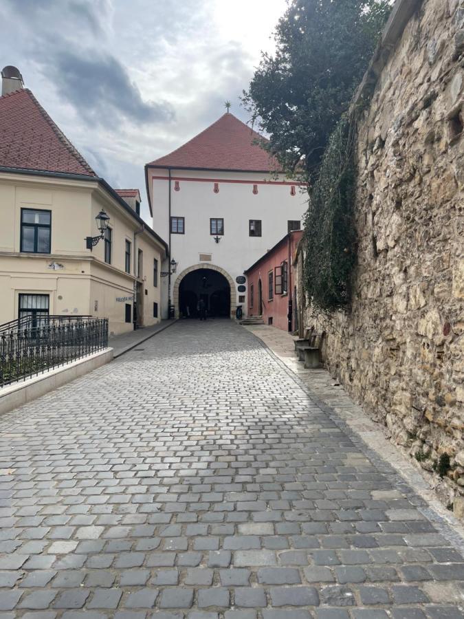 Grich Witch Apartment Zagreb Luaran gambar